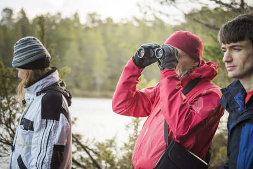 Birding