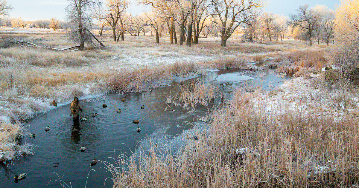 Image for Hot Spots for Late-Season Ducks
