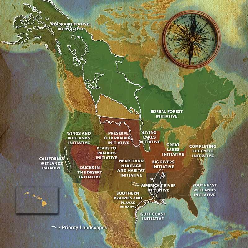 A map