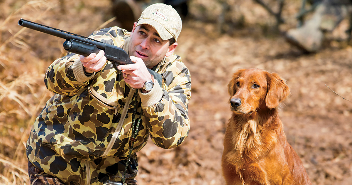 Image for Retrievers: A Beginner’s Guide to Hunt Tests