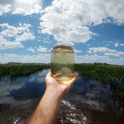 Water Quality